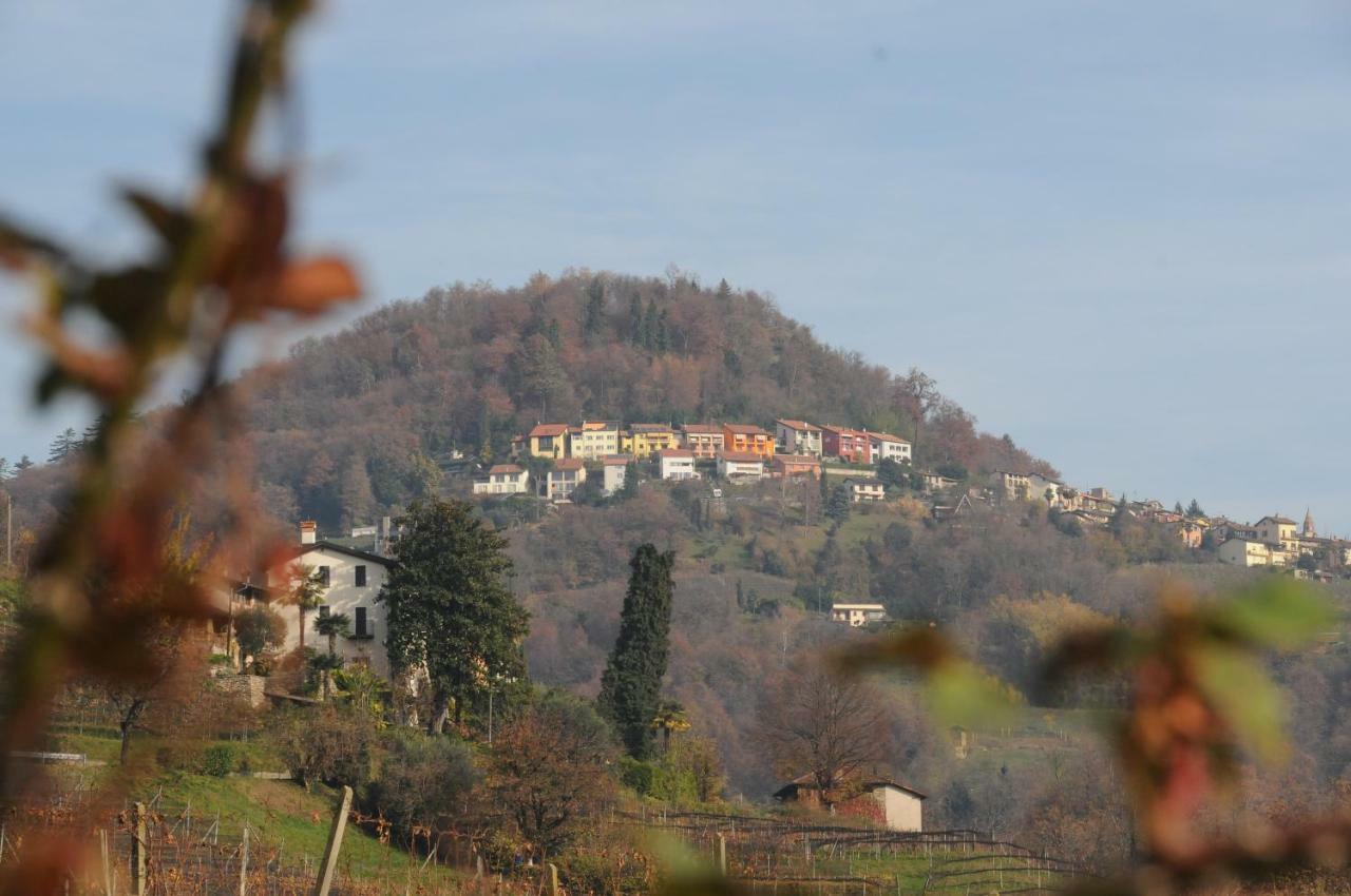 Acquachiara Apartman Ponte Tresa Kültér fotó